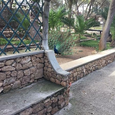 16 Porto Santo Apartments ภายนอก รูปภาพ