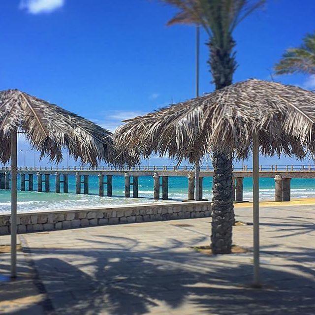 16 Porto Santo Apartments ภายนอก รูปภาพ