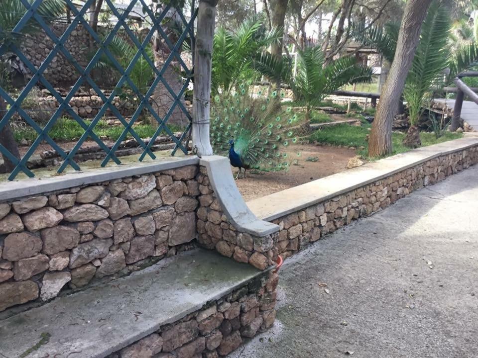 16 Porto Santo Apartments ภายนอก รูปภาพ